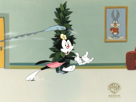 Animaniacs Original Production Cel with Matching Drawing: Dot For Discount