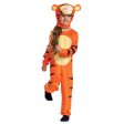 Child Tigger Two Sided Plush Deluxe Costume For Discount